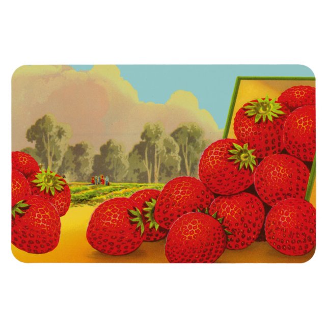 Vintage Strawberry Crate Art Magnets (Horizontal)