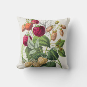 Vintage Strawberry  Cushion