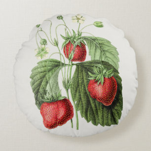 Vintage Strawberry Illustration Round Cushion