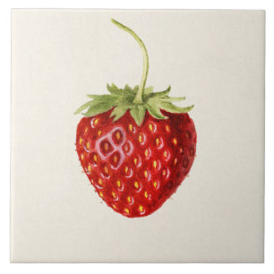 Vintage Strawberry Illustration  Tile