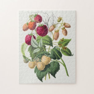 Vintage Strawberry Jigsaw Puzzle