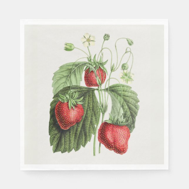 Vintage Strawberry Napkin (Front)