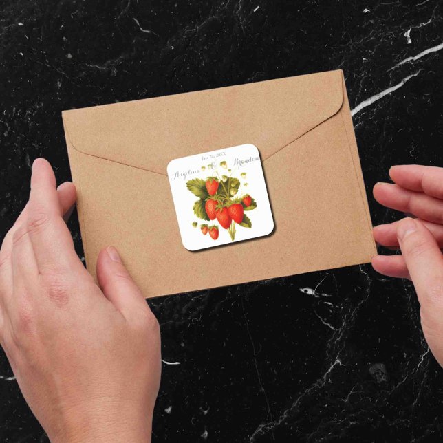 Vintage  strawberry orchard wedding square sticker (Creator Uploaded)