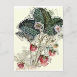 Vintage Strawberry Plant and Blossoms Postcard
