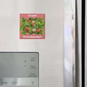 Vintage Strawberry Plant Magnet