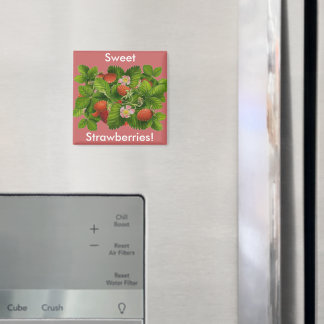 Vintage Strawberry Plant Magnet