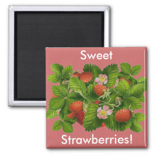 Vintage Strawberry Plant Magnet