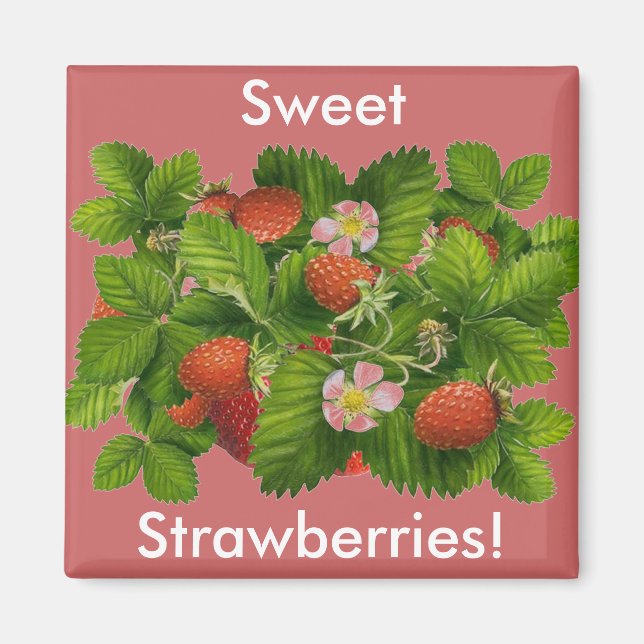 Vintage Strawberry Plant Magnet (Front)
