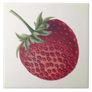 Vintage Strawberry Tile