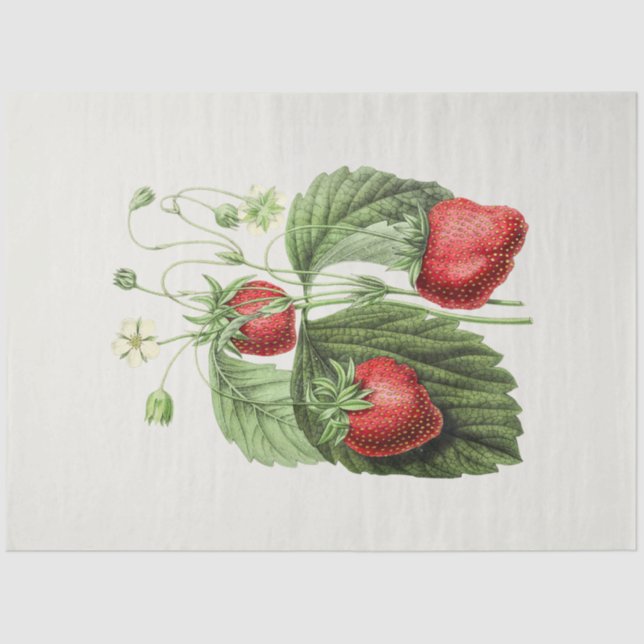 Vintage strawberry tissue paper (Front)
