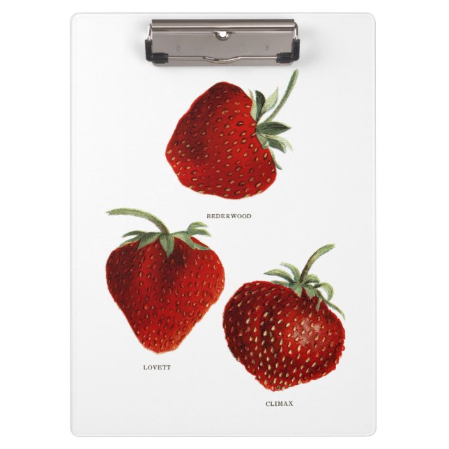 Vintage Strawberry Trio Clipboard (Front)