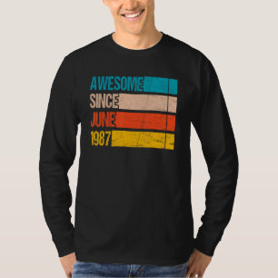 Vintage Stripe Colour Awesome Since June 1987 Birt T-Shirt