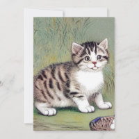 Vintage Striped Kitten Illustration