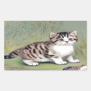 Vintage Striped Kitten Illustration Rectangular Sticker