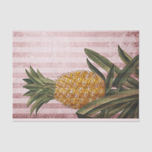 Vintage Stripes Pineapple Tissue Paper (Front)