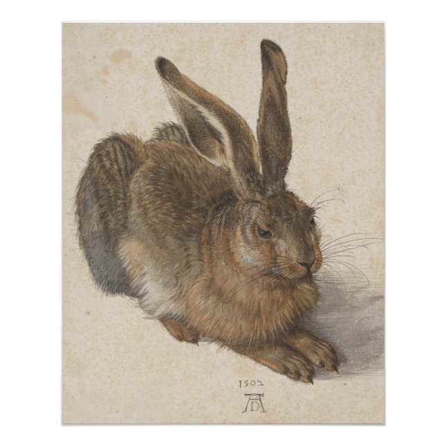 Vintage-Style Albrecht Dürer - Hare Acrylic Poster (Front)