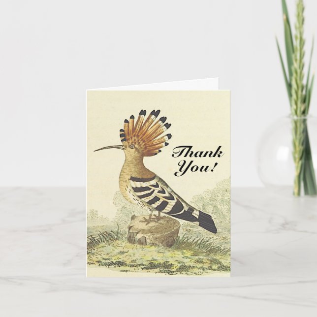 Vintage Style, Bird, "Thank You!" Card (Front)