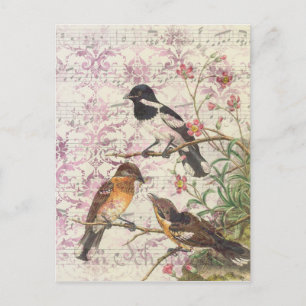 Vintage Style Birds on Branches and Music Postcard