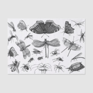 Vintage Style Black and White Insect Collage, Pt 2 Tissue Paper