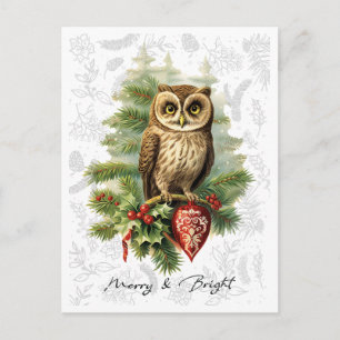 Vintage Style Christmas Snow Owl and Evergreen Postcard