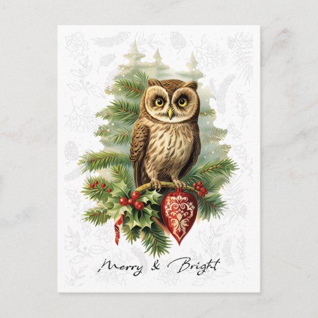 Vintage Style Christmas Snow Owl and Evergreen Postcard (Front)