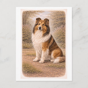 Vintage-Style Collie Postcard