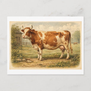 Vintage-Style Cow Illustration Postcard