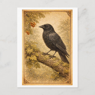 Vintage-Style Crow Illustration Postcard