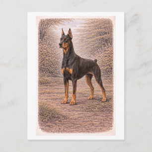 Vintage-Style Doberman Pinscher Postcard