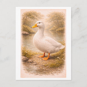Vintage-Style Duck Illustration Postcard
