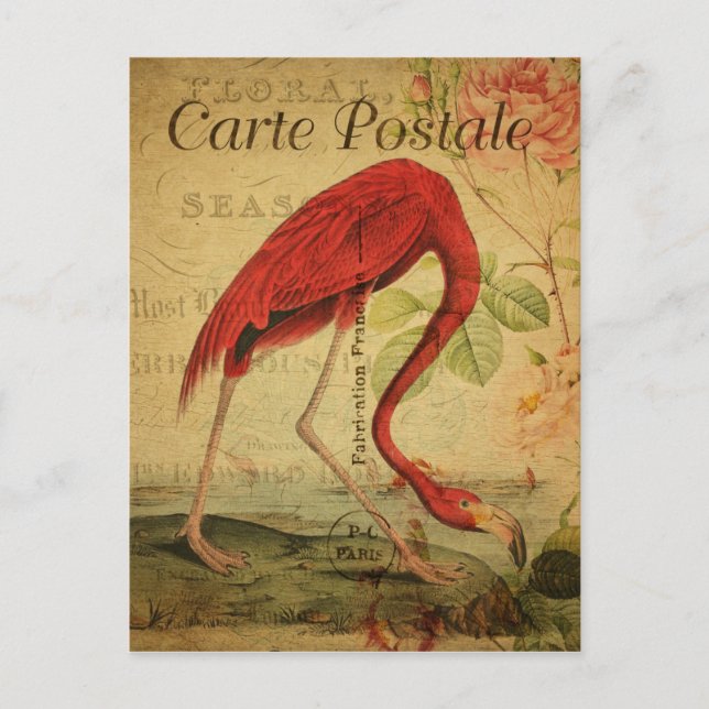Vintage Style Flamingo French Carte Postale Postcard (Front)
