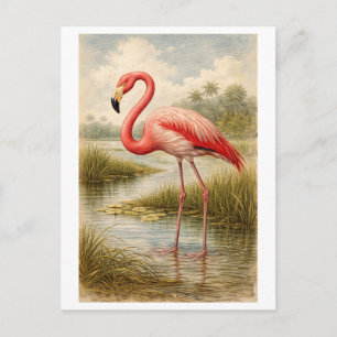 Vintage-Style Flamingo Illustration Postcard