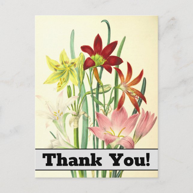 Vintage Style Flowers "Thank You!" Postcard (Front)