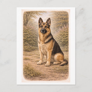 Vintage-Style German Shepherd Postcard