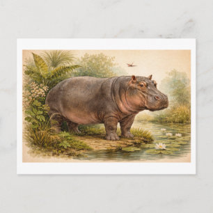 Vintage-Style Hippo Illustration Postcard