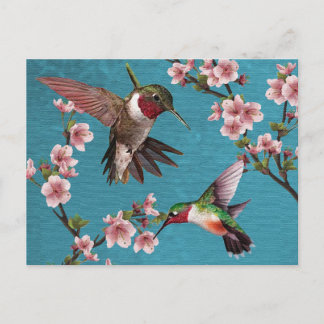 Vintage Style Hummingbird Painting Postcard