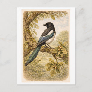 Vintage-Style Magpie lllustration Postcard