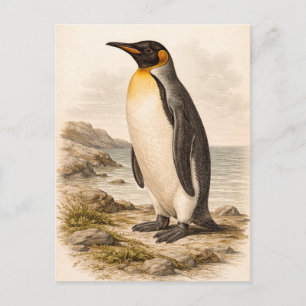 Vintage-Style Penguin Illustration Postcard