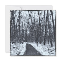 Vintage Style Photo Hiking Trail in Winter