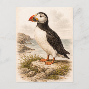 Vintage-Style Puffin Illustration Postcard