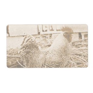 Vintage Style Rooster Photograph
