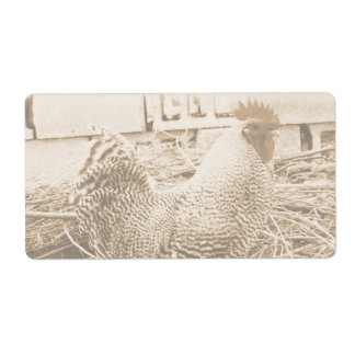 Vintage Style Rooster Photograph