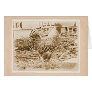 Vintage Style Rooster Photograph