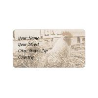 Vintage Style Rooster Photograph