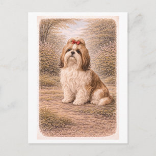 Vintage-Style Shih Tzu Postcard