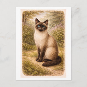 Vintage-Style Siamese Cat Illustration Postcard