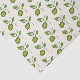 Vintage style watercolor Limes on ecru Tissue Paper