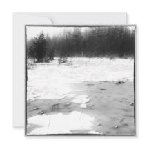 Vintage Style Winter Photo Frozen Bog