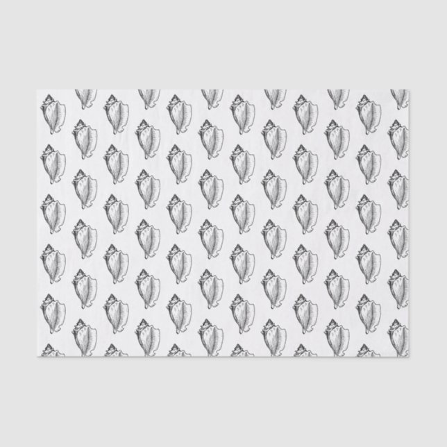 Vintage Stylised Conch Shell Black Tissue Paper (Front)