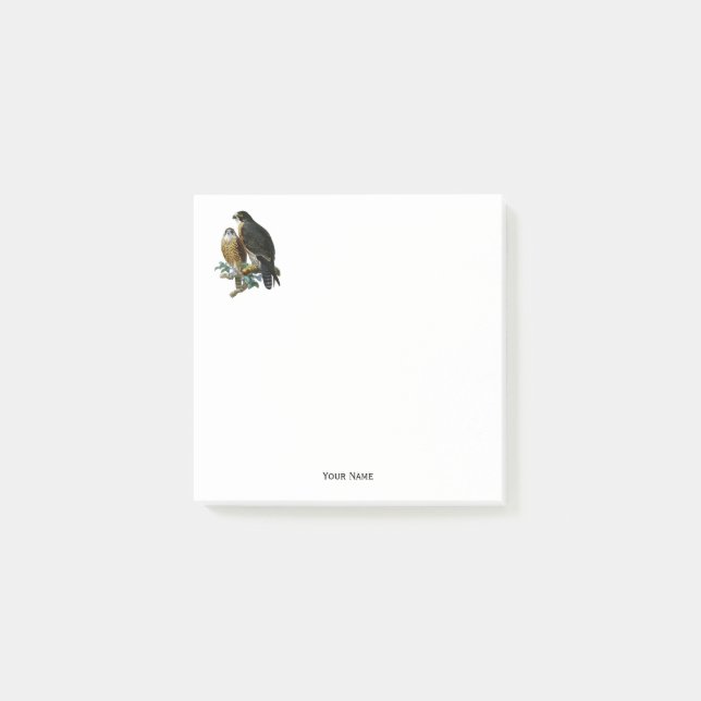 Vintage Stylised Falcons on Branch Post-it Notes (Front)